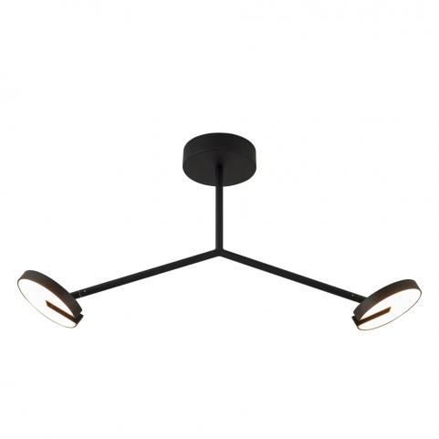 Потолочный светильник Favourite Paritet 4401-2C
