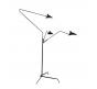 Торшер Delight Collection Floor lamp TF8505-3 black