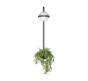 Бра Loft IT Jardin 10121W/B