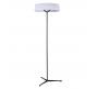 Торшер Divinare Alma 1029/06 PN-11
