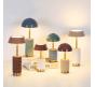 Настольный светильник Odeon Light Lulu 3000 5452/3TL